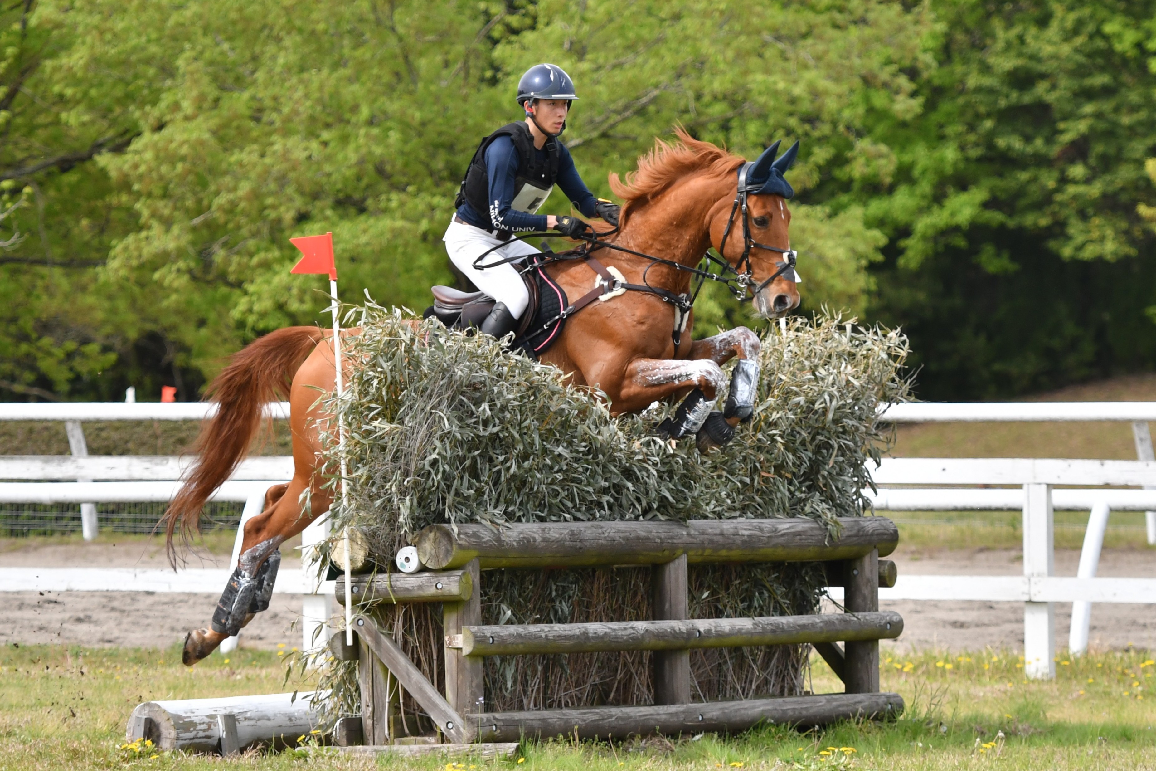 CCI3*-S/1*-Intro Miki 2026》最終日レポート 公益社団法人 日本馬術